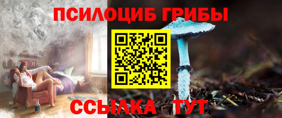 Галлюциногенные грибы прущие грибы  Галлюциногенные грибы мухоморы  Вход с VPN  Богданович 