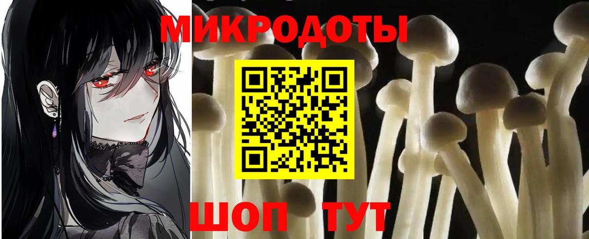 Псилоцибиновые грибы ЛСД Богданович